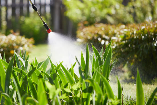 24/7 Emergency Mosquito Control experts in Icard, NC